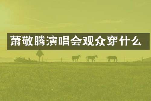 萧敬腾演唱会观众穿什么