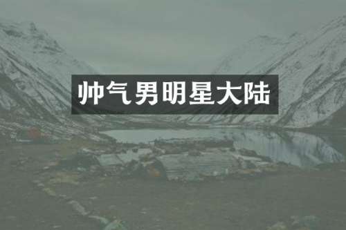 帅气男明星大陆