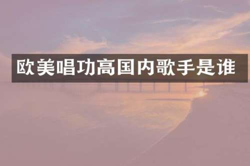 欧美唱功高国内歌手是谁