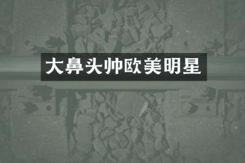 大鼻头帅欧美明星