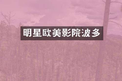 明星欧美影院波多