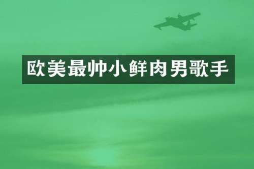 欧美最帅小鲜肉男歌手