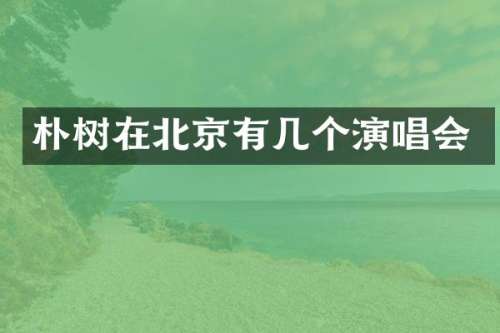 朴树在北京有几个演唱会