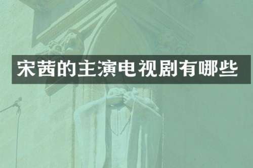 宋茜的主演电视剧有哪些