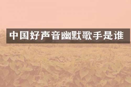 中国好声音幽默歌手是谁