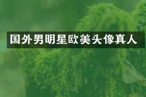 国外男明星欧美头像真人
