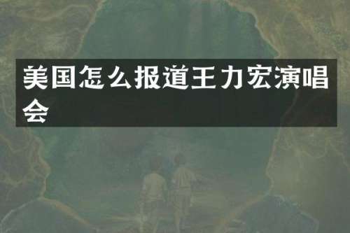 美国怎么报道王力宏演唱会