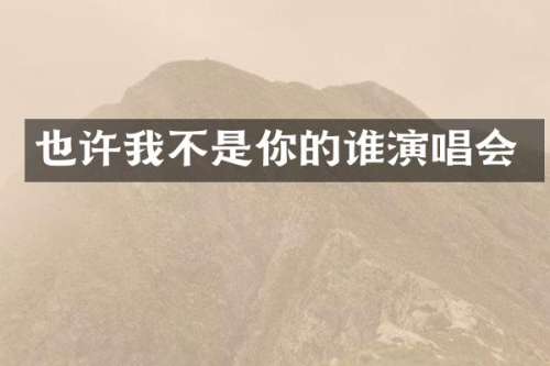 也许我不是你的谁演唱会