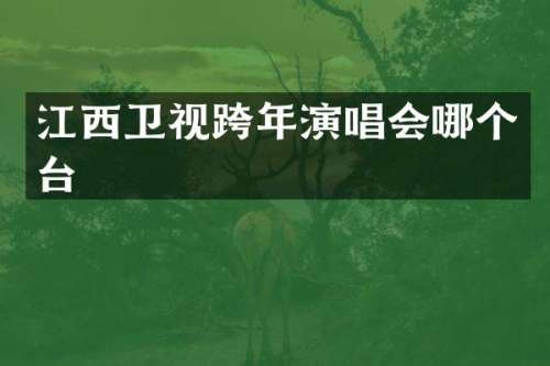 江西卫视跨年演唱会哪个台