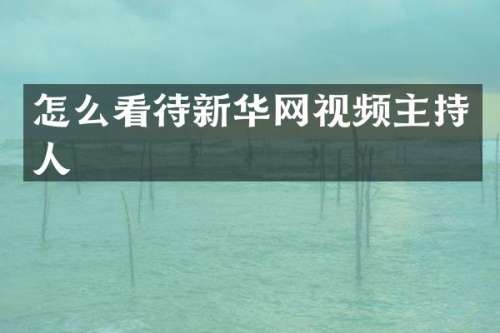 怎么看待新华网视频主持人