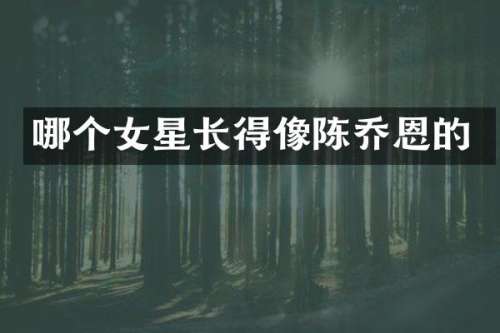 哪个女星长得像陈乔恩的
