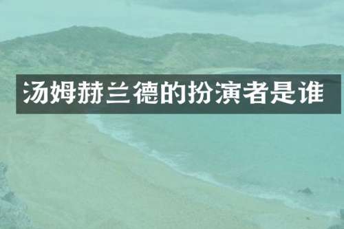汤姆赫兰德的扮演者是谁