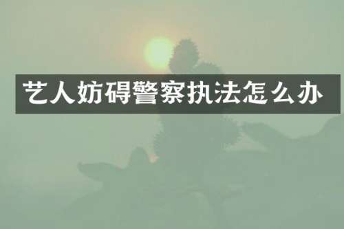 艺人妨碍警察执法怎么办