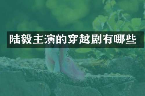 陆毅主演的穿越剧有哪些