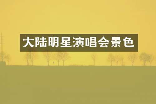 大陆明星演唱会景色