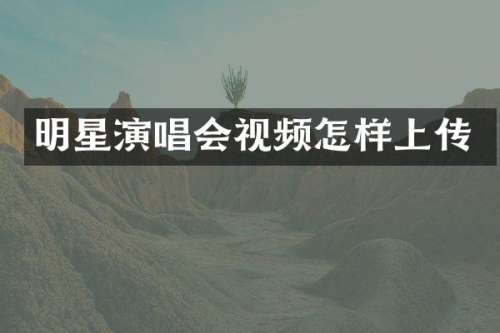 明星演唱会视频怎样上传