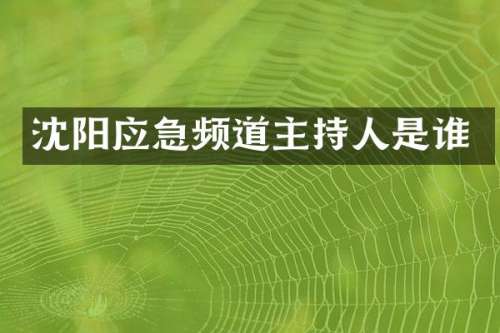沈阳应急频道主持人是谁