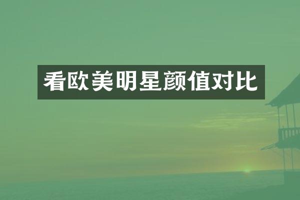 看欧美明星颜值对比