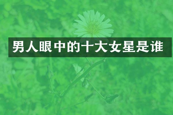 男人眼中的十大女星是谁