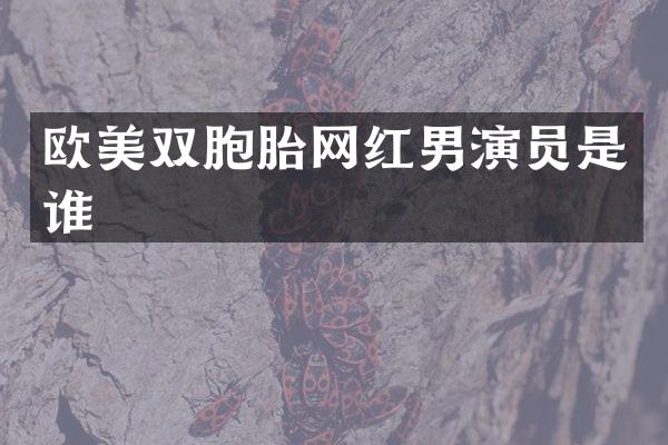欧美双胞胎网红男演员是谁