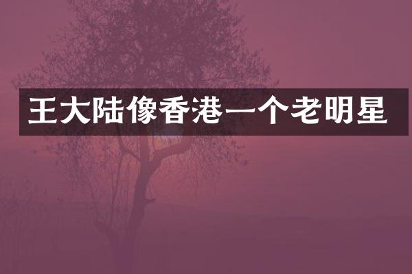 王大陆像香港一个老明星