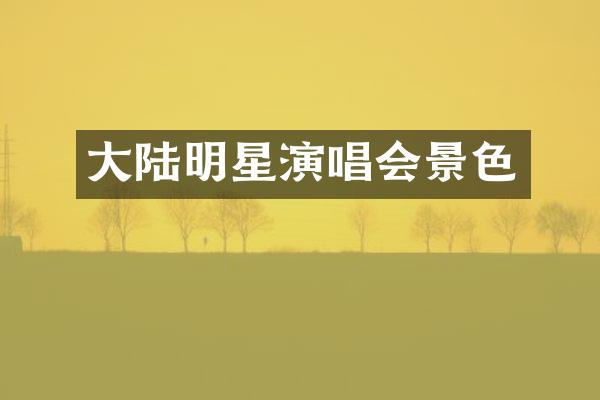 大陆明星演唱会景色