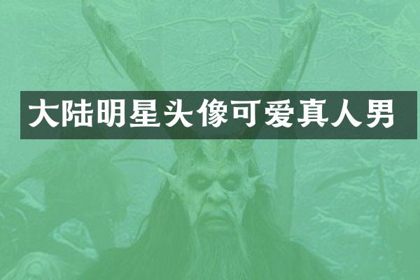 大陆明星头像可爱真人男