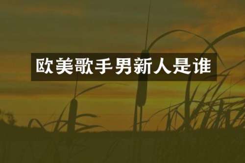 欧美歌手男新人是谁
