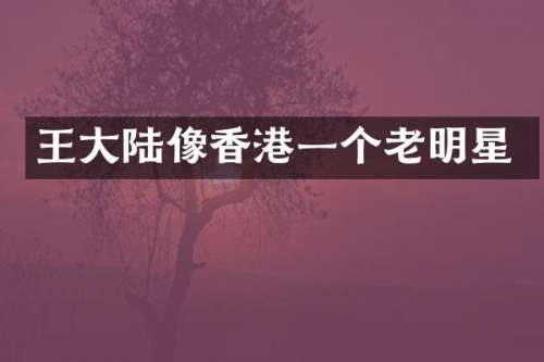 王大陆像香港一个老明星