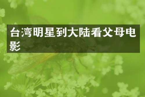 台湾明星到大陆看父母电影