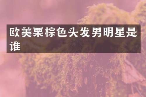 欧美栗棕色头发男明星是谁