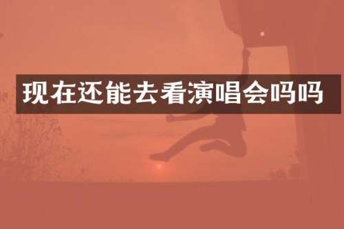 现在还能去看演唱会吗吗