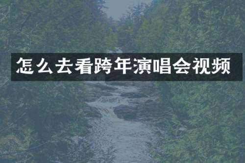 怎么去看跨年演唱会视频