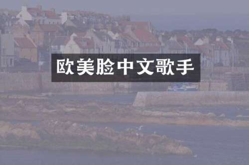 欧美脸中文歌手