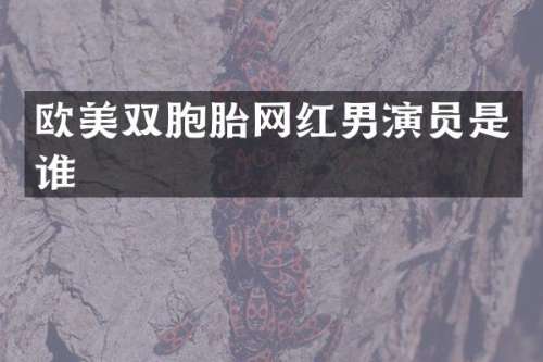 欧美双胞胎网红男演员是谁