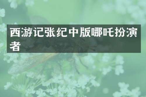 西游记张纪中版哪吒扮演者