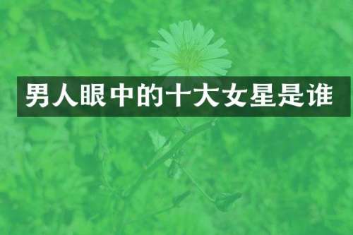 男人眼中的十大女星是谁