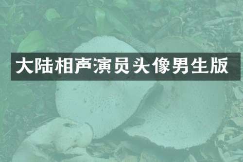 大陆相声演员头像男生版