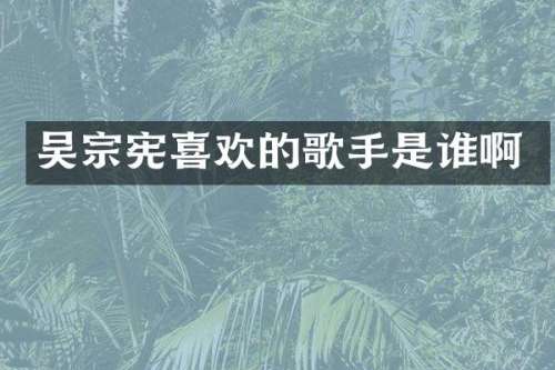 吴宗宪喜欢的歌手是谁啊