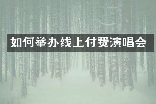 如何举办线上付费演唱会