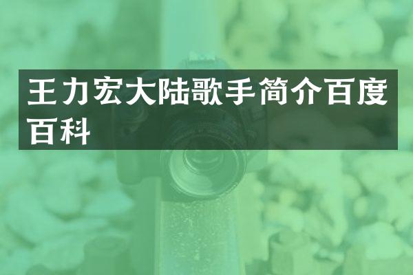 王力宏大陆歌手简介百度百科