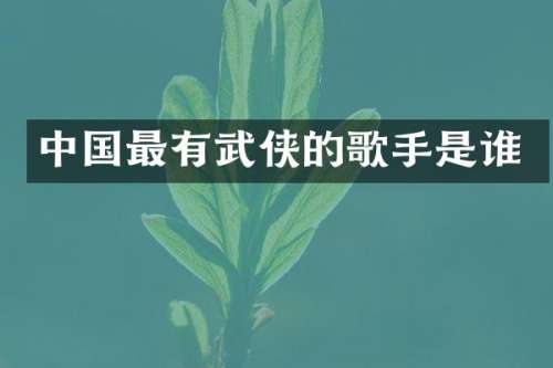 中国最有武侠的歌手是谁