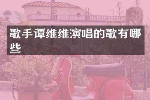 歌手谭维维演唱的歌有哪些