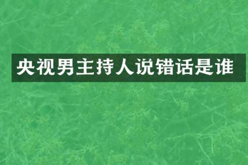 央视男主持人说错话是谁