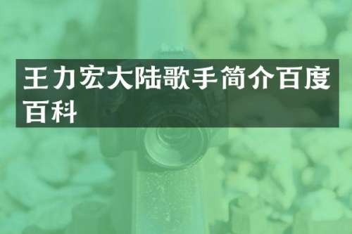 王力宏大陆歌手简介百度百科