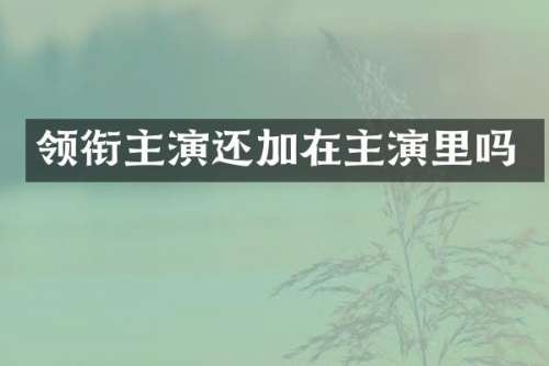 领衔主演还加在主演里吗