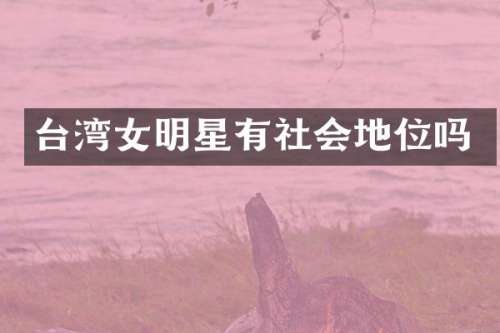 台湾女明星有社会地位吗