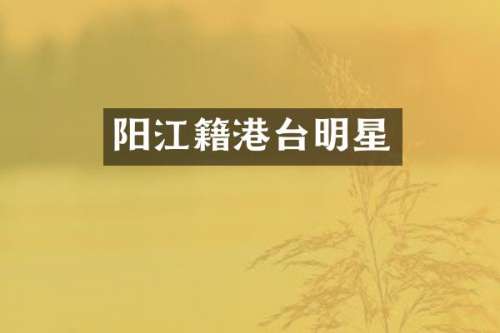 阳江籍港台明星