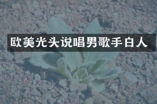 欧美光头说唱男歌手白人