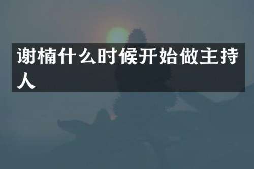 谢楠什么时候开始做主持人